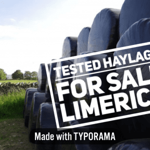 Haylage For Sale