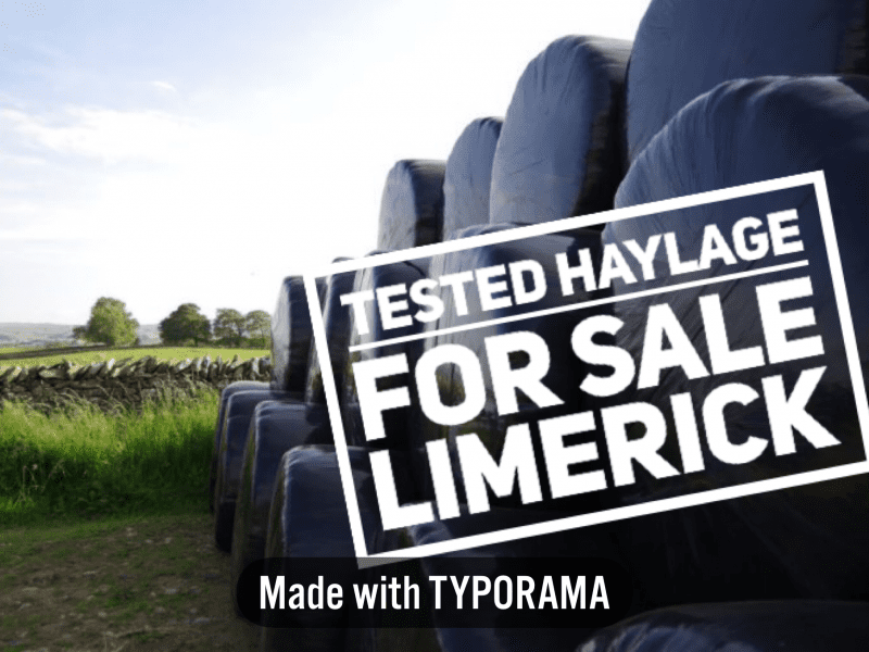 Haylage For Sale